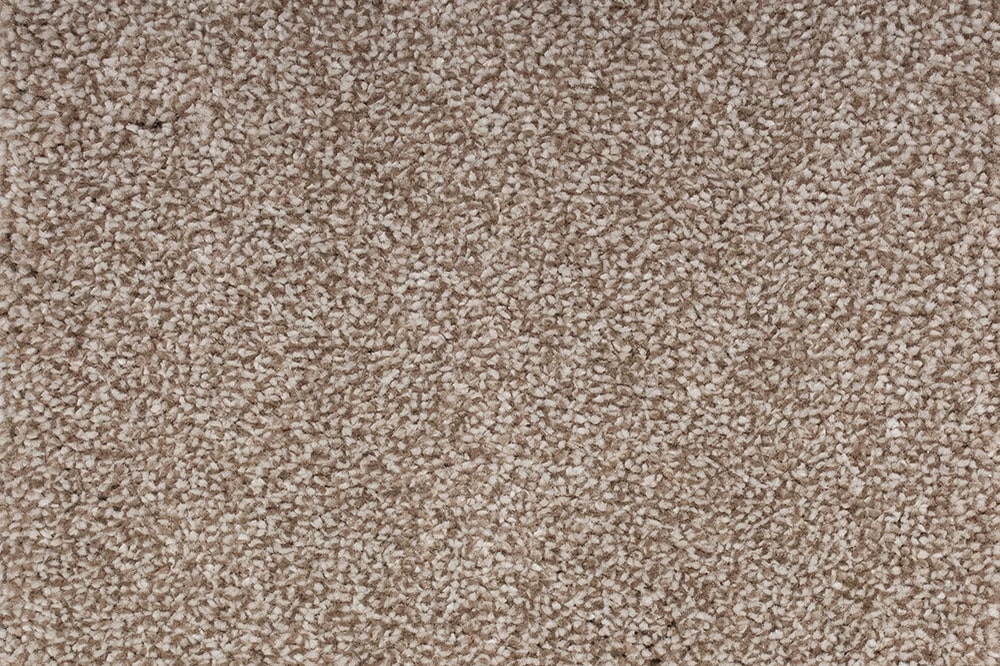 Alacantra Saxony Carpet