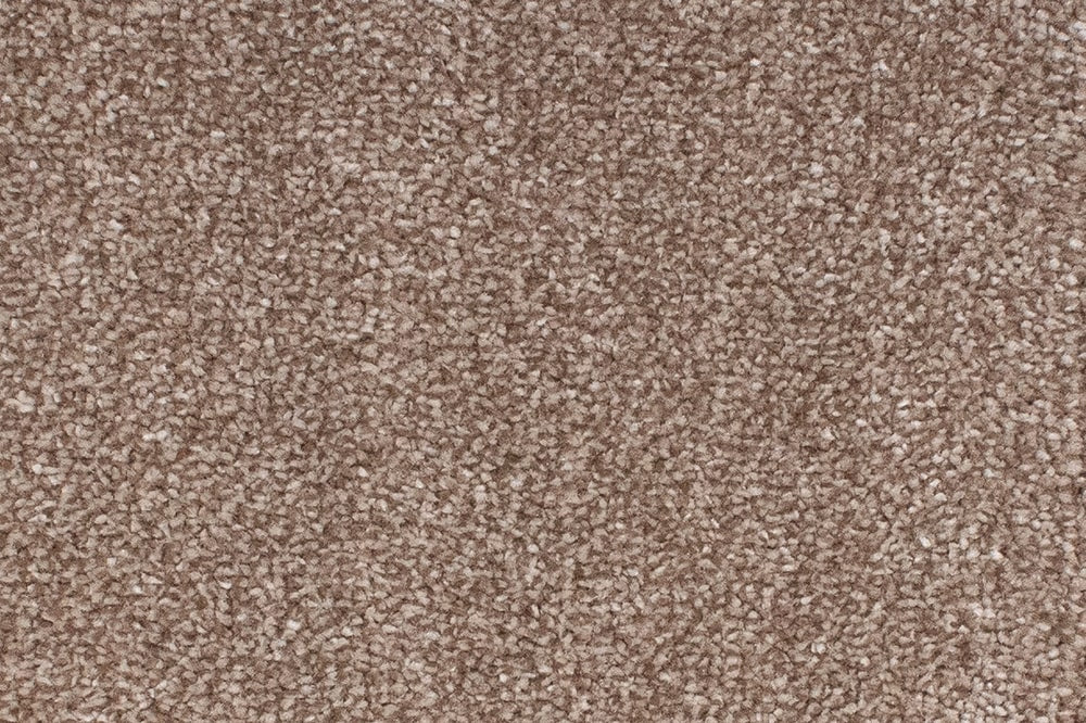 Alacantra Saxony Carpet